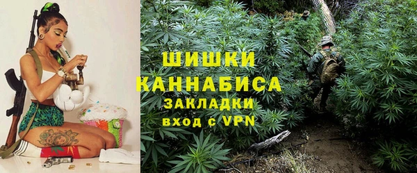 трава Билибино