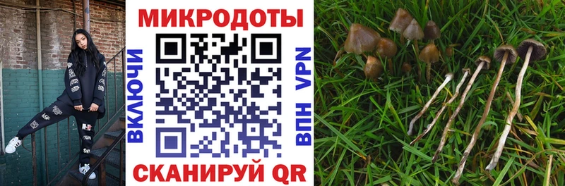ссылка на мегу зеркало  Щучье  Галлюциногенные грибы мухоморы 